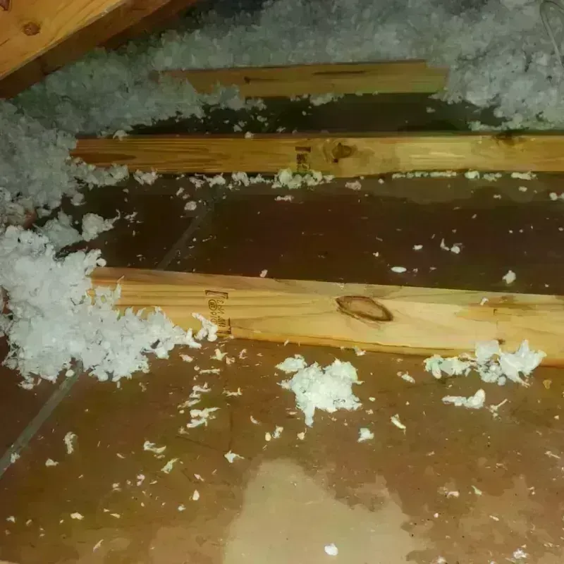 Attic Water Damage in Enid, OK