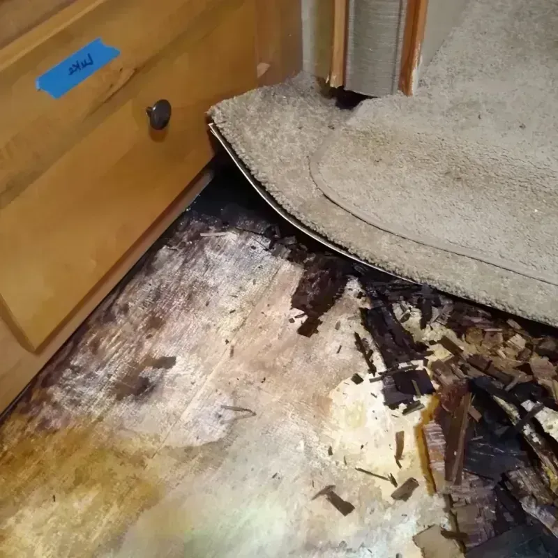 Wood Floor Water Damage in Enid, OK